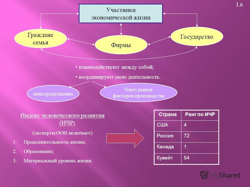 Какие основные участники экономики